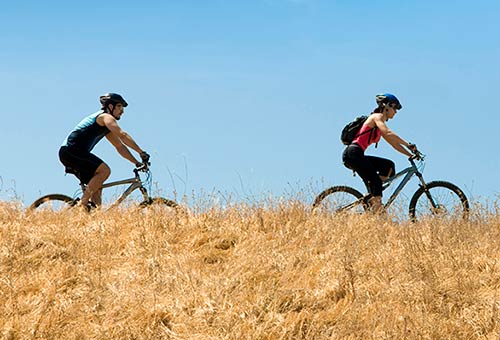 Team Logue | Burlington & Oakville real estate outdoor biking