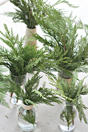 Pine boughs in vases