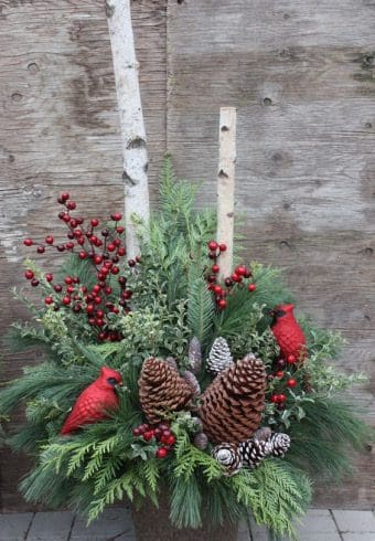 Christmas plant filler